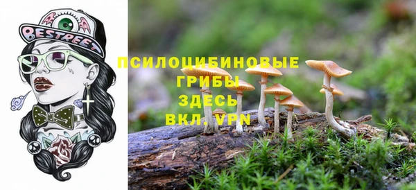 jwh Горняк