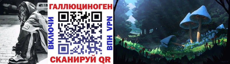 Купить  Динская  Галлюциногенные грибы MAGIC MUSHROOMS 