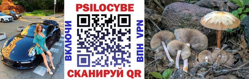 Галлюциногенные грибы мухоморы Динская