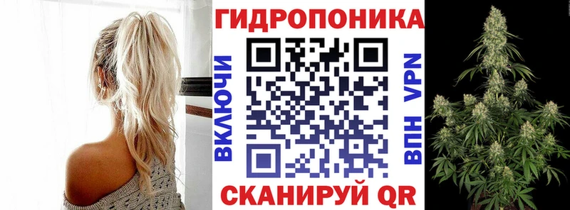 Конопля семена Динская